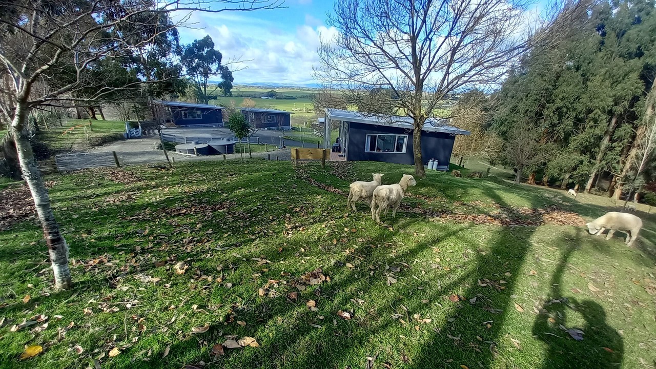 Photo of Outdoor in Feilding