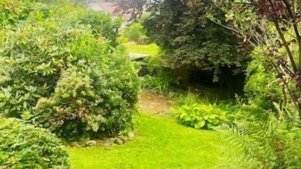 Photo of Outdoor in New Galloway