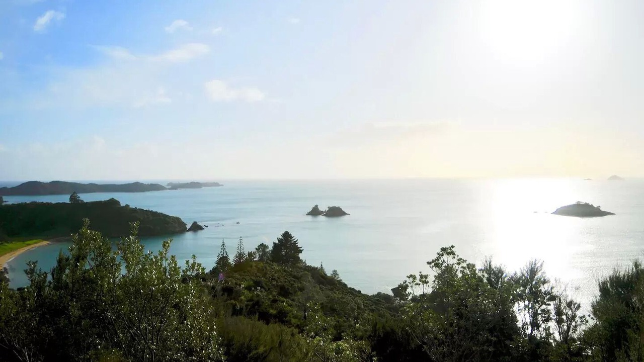 Photo of Others in Te Ngaire