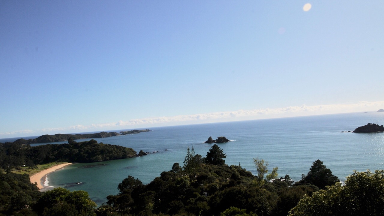 Photo of Others in Te Ngaire