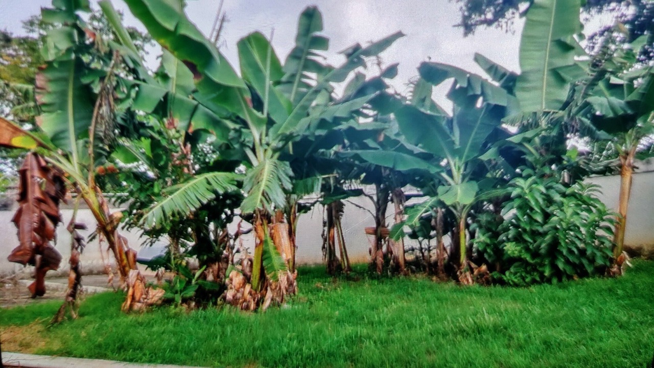 Photo of Outdoor in Garabito