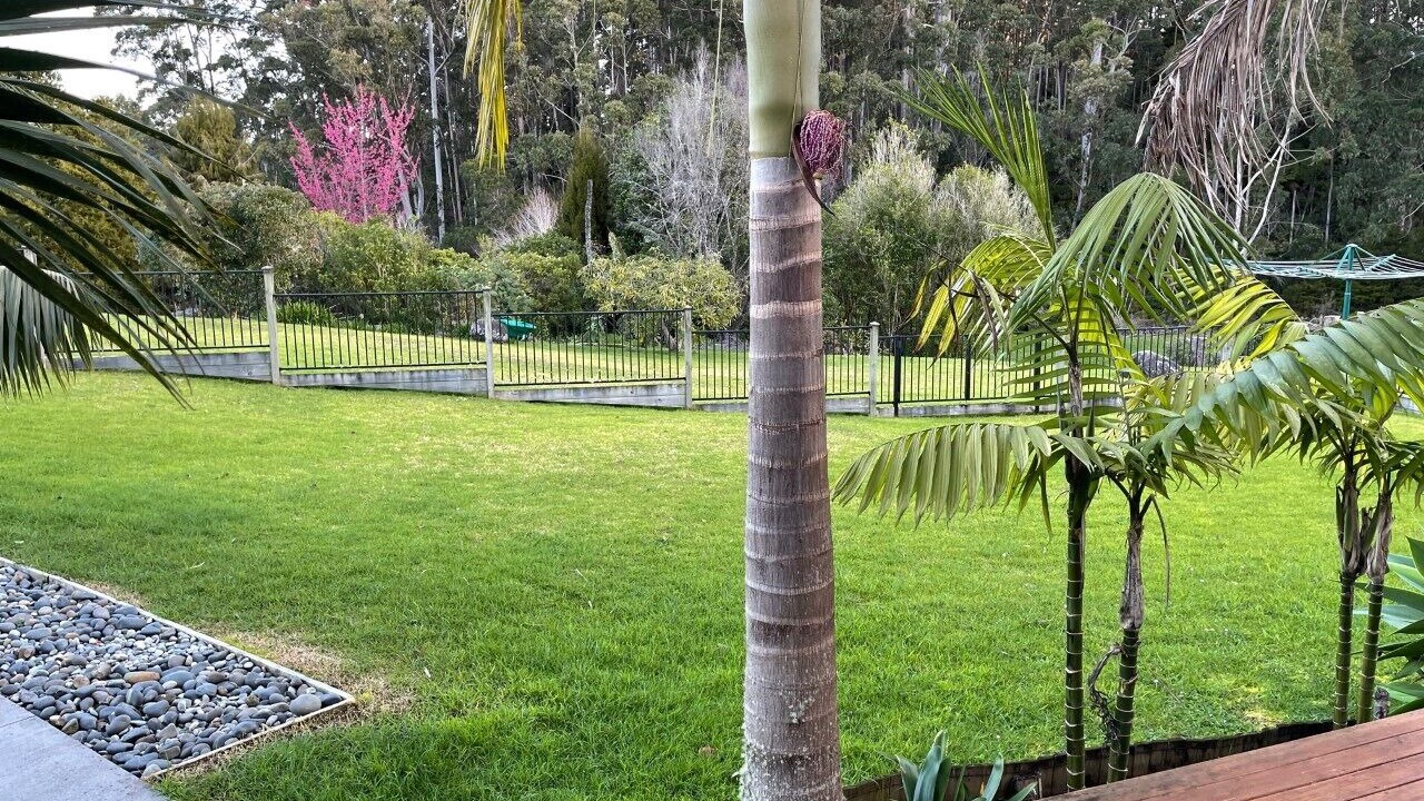 Photo of Outdoor in Kerikeri