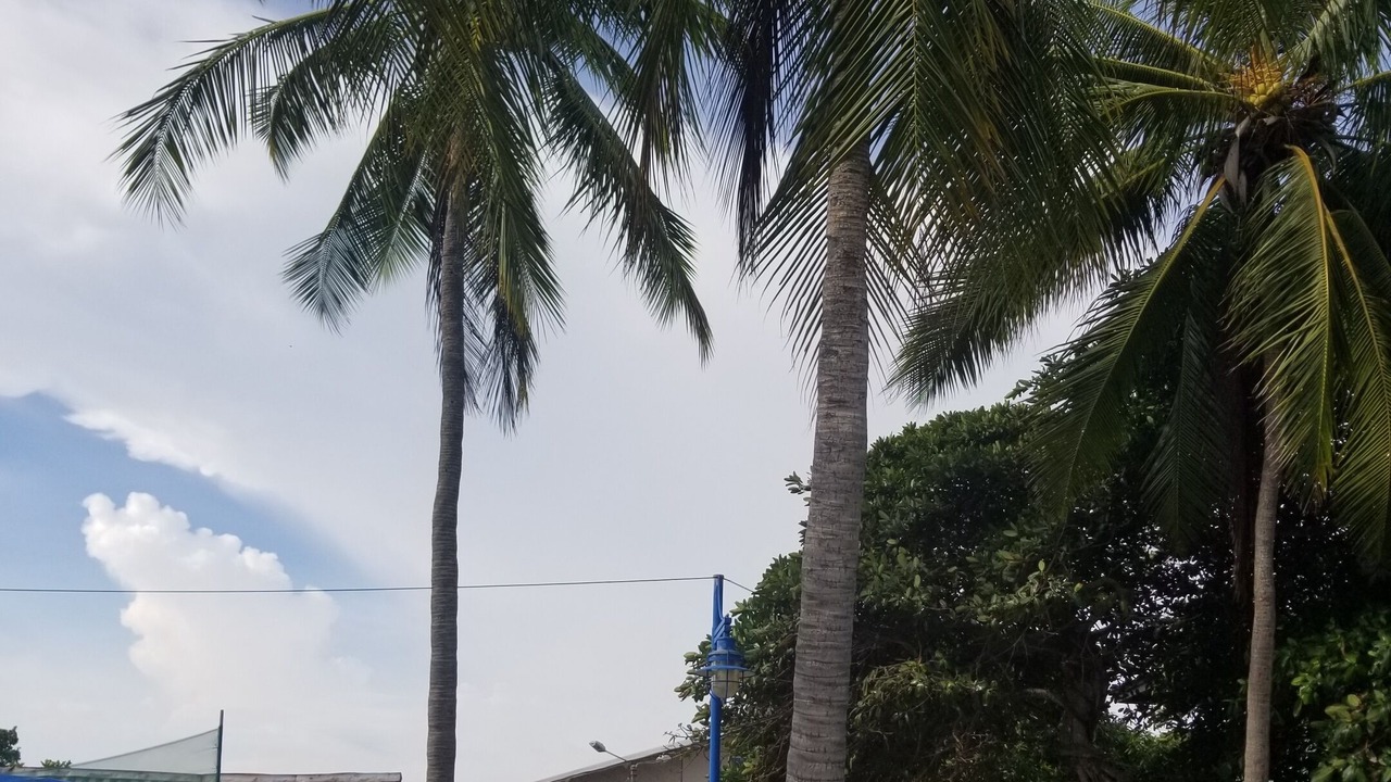Photo of Others in Barrio Las Playitas