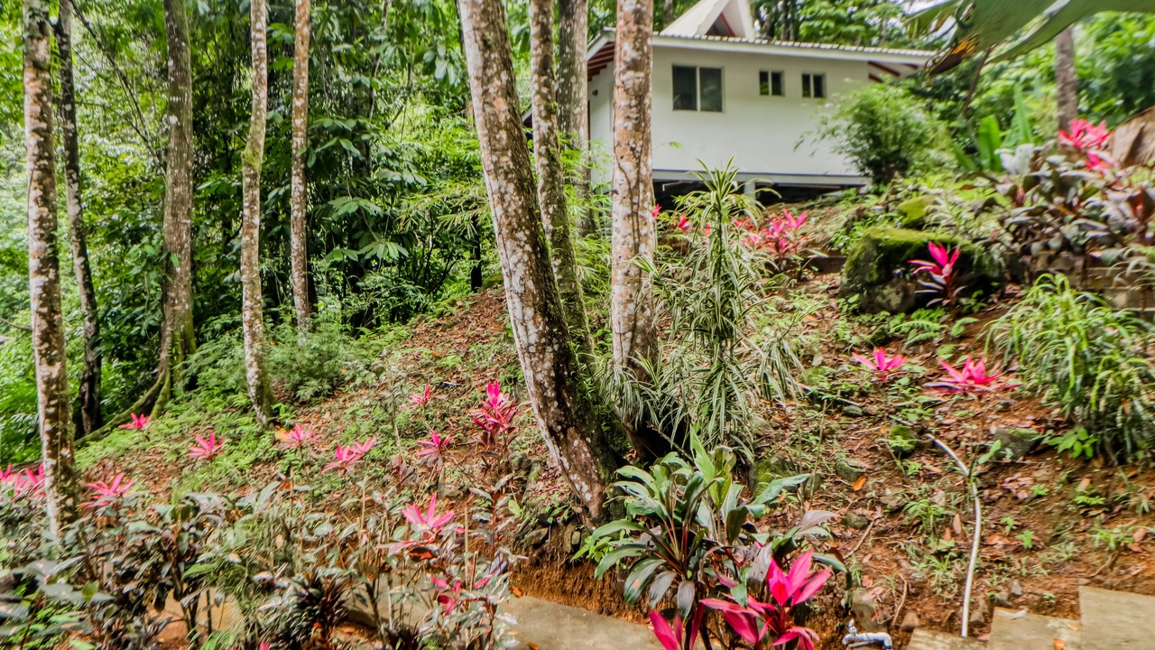 Photo of Outdoor in Tres Rios