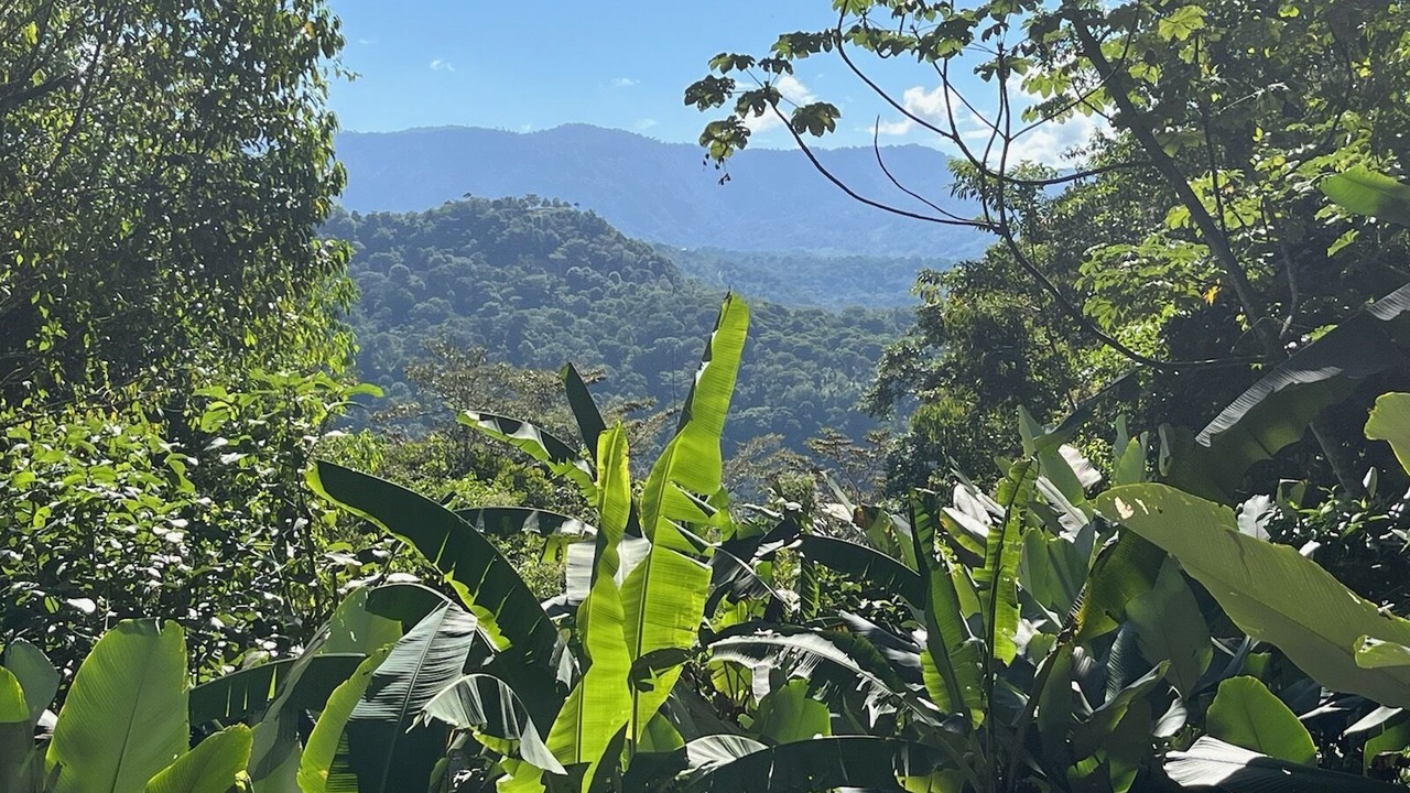 Photo of Outdoor in Dominical