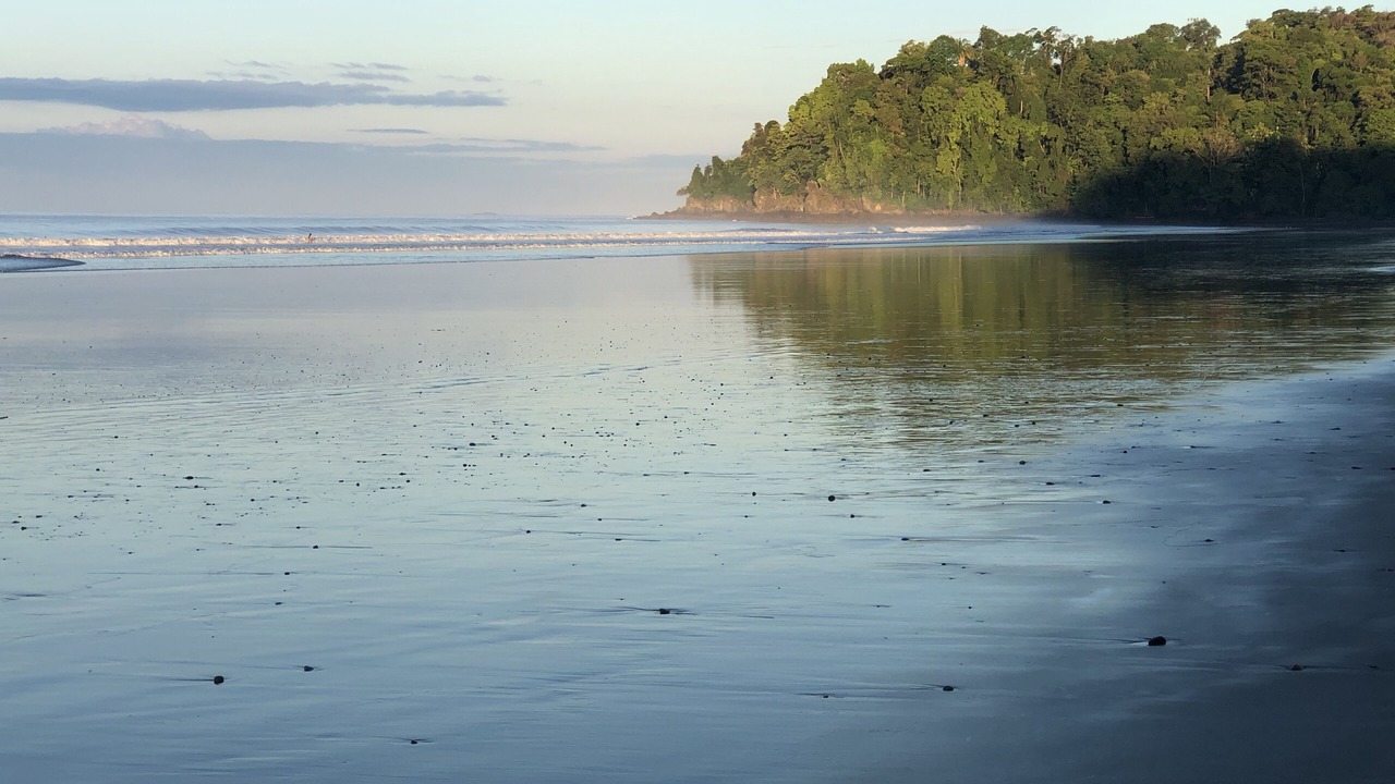 Photo of Others in Dominical