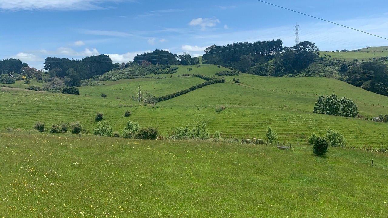 Photo of Others in Pokeno