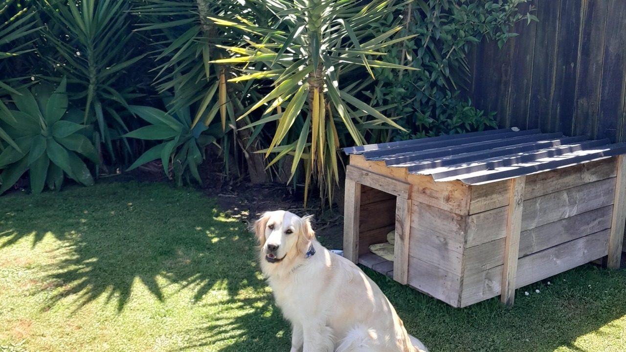 Photo of Outdoor in Whakatane