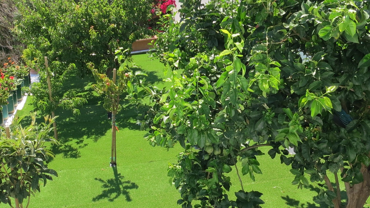 Photo of Outdoor in Pitrofos