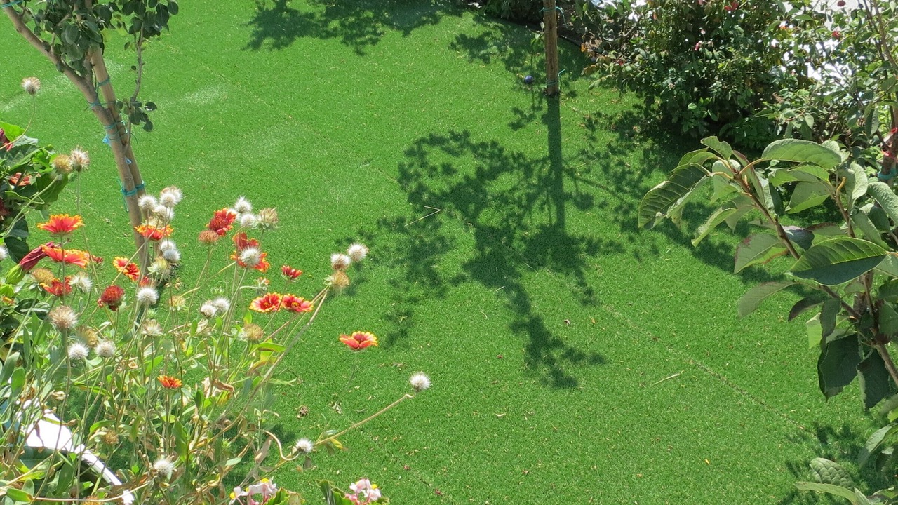 Photo of Outdoor in Pitrofos