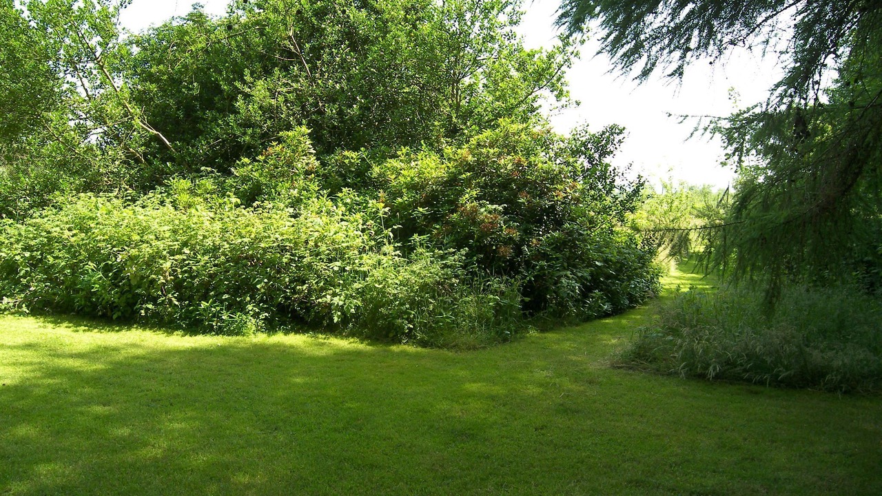 Photo of Outdoor in Kirkcudbright