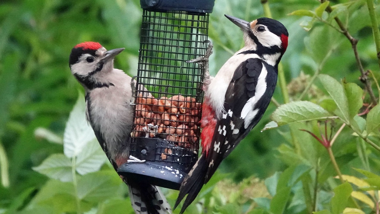 Photo of Outdoor in Kirkcudbright