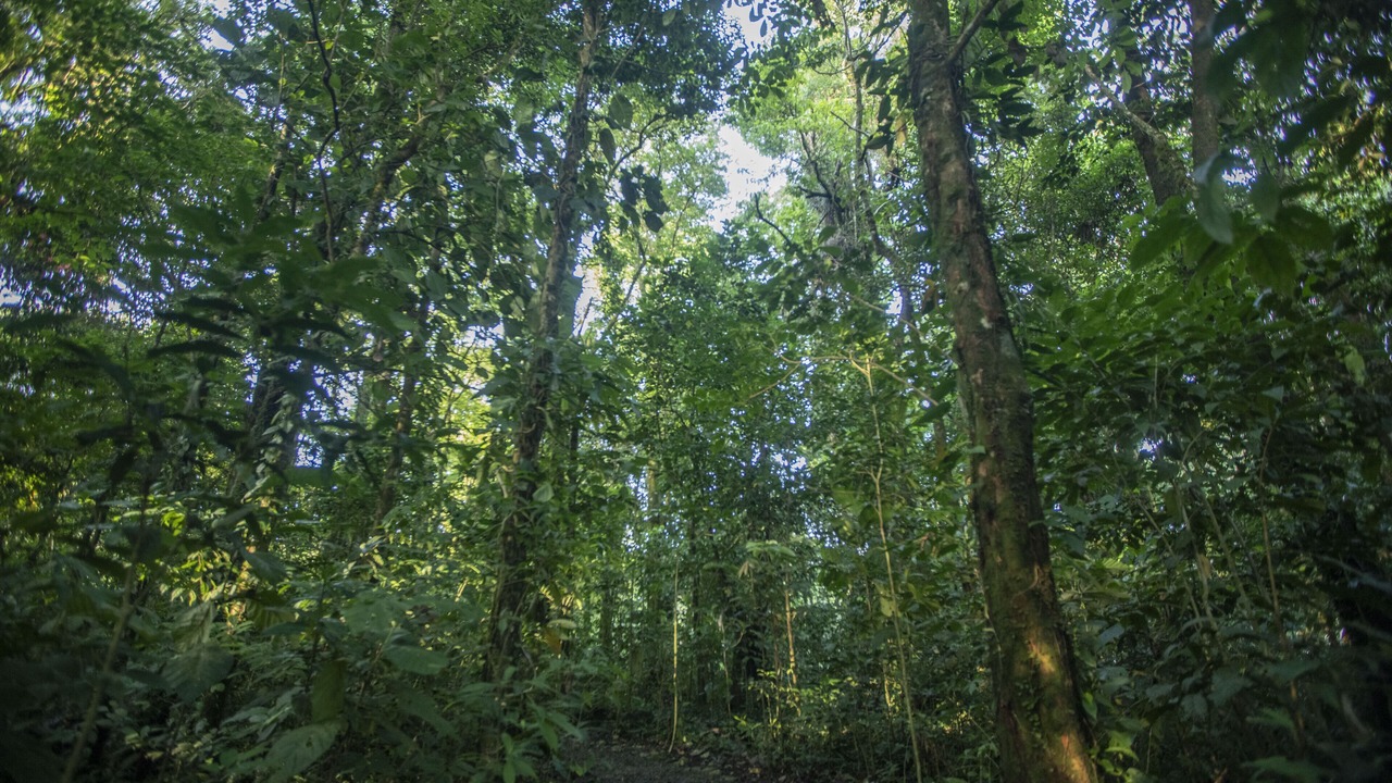 Photo of Outdoor in Bijagua