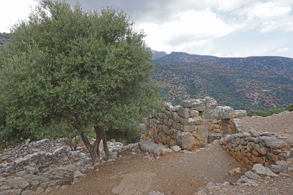 Photo of Outdoor in Kritsa