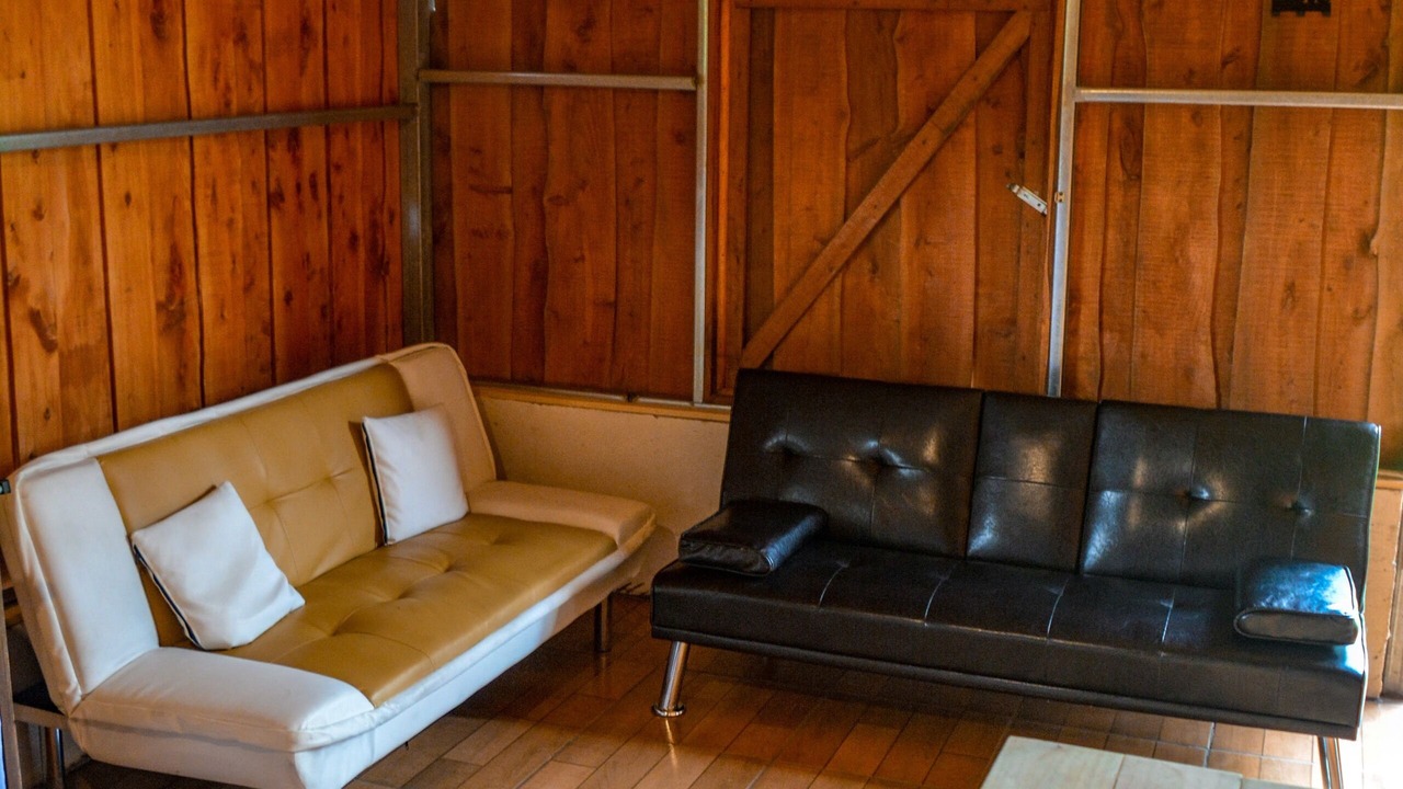 Photo of Livingroom in Toro Amarillo