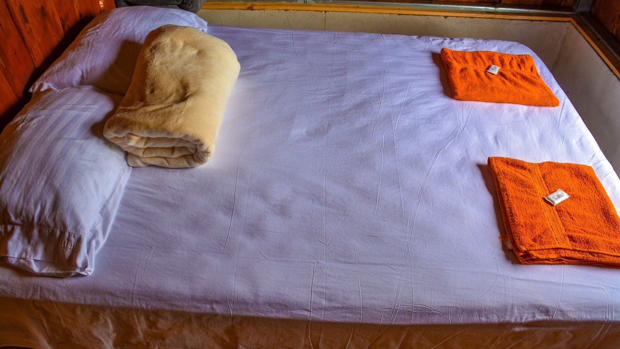 Photo of Bedroom in Toro Amarillo