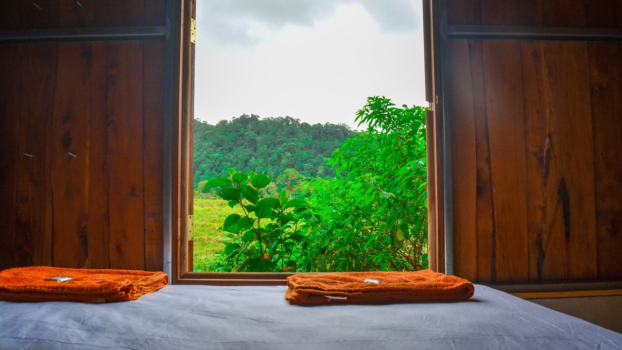 Photo of Bedroom in Toro Amarillo