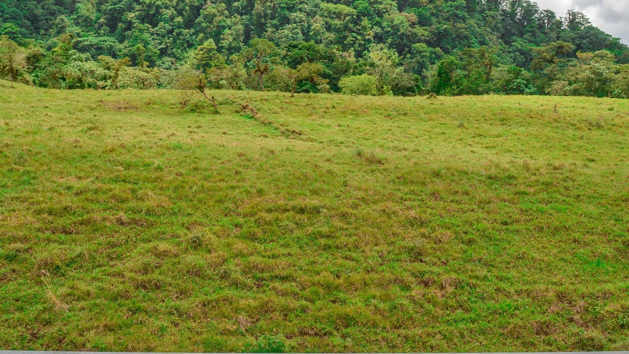 Photo of Outdoor in Toro Amarillo