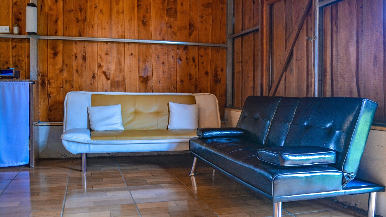 Photo of Livingroom in Toro Amarillo