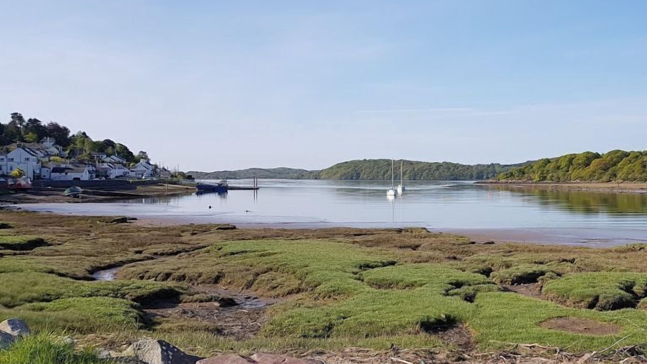 Photo of Others in Rockcliffe