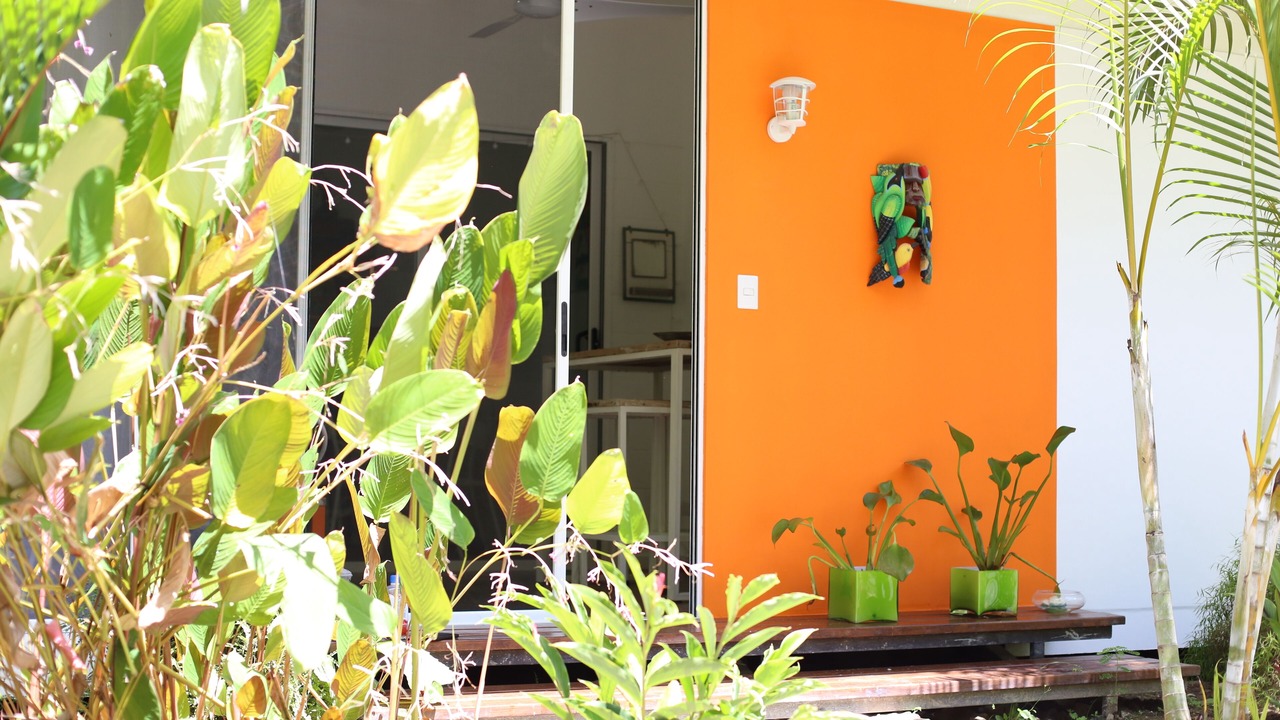 Photo of Outdoor in Playa Tortuga