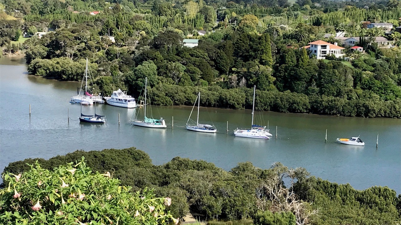 Photo of Others in Kerikeri