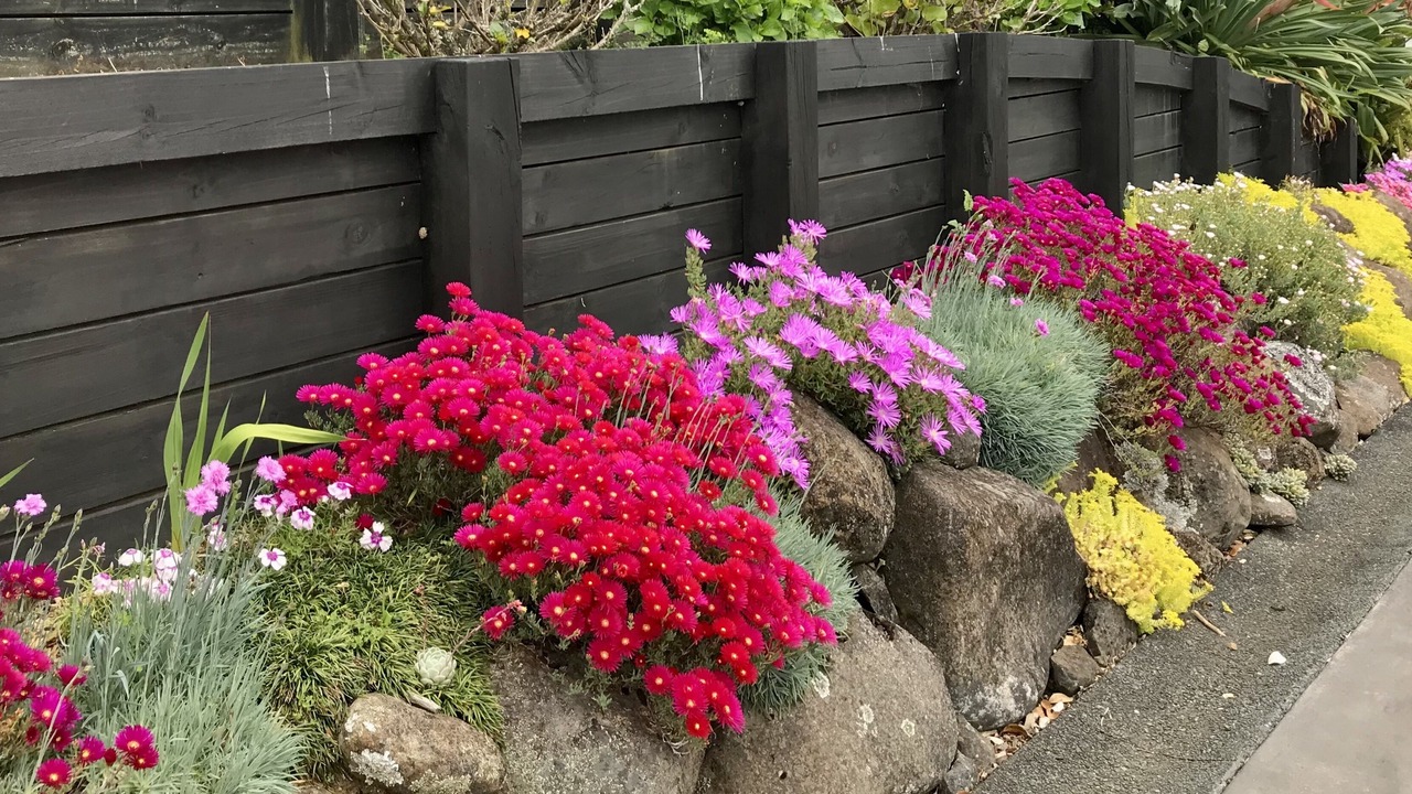 Photo of Outdoor in Kerikeri