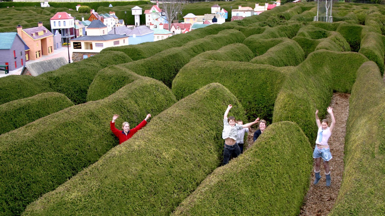 Photo of Others in Promised Land