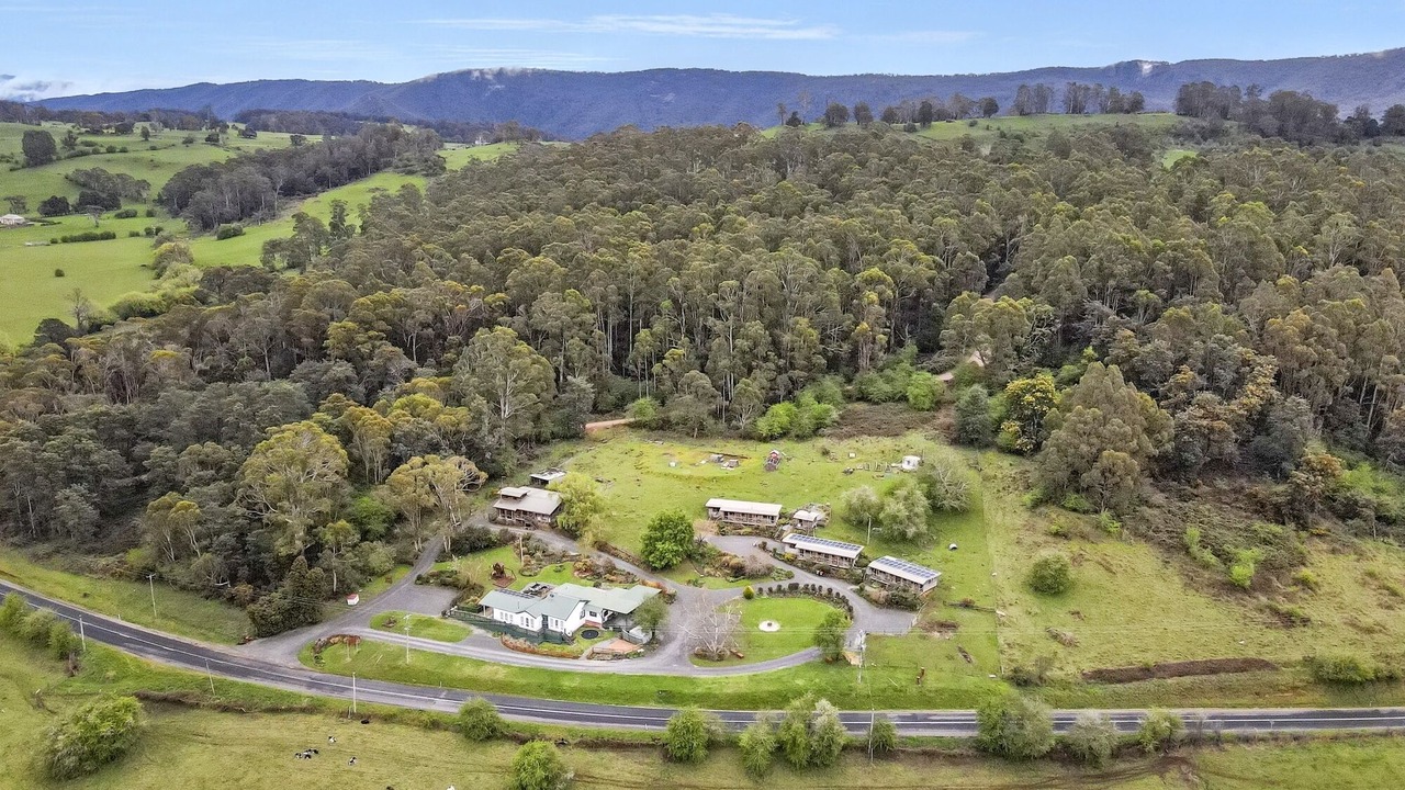Photo of Outdoor in Mole Creek