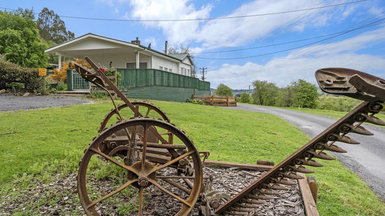 Photo of Outdoor in Mole Creek