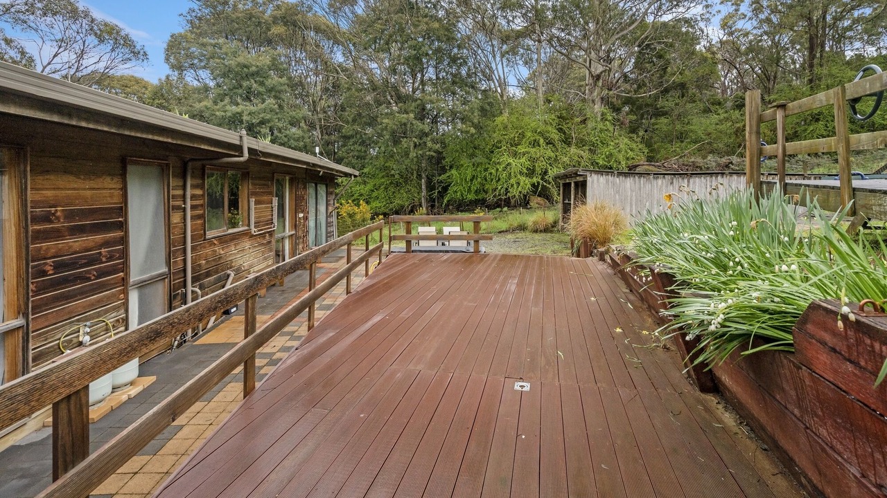 Photo of Outdoor in Mole Creek