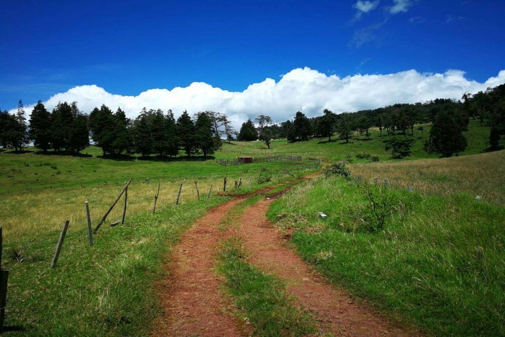 Photo of Outdoor in Sabana Redonda