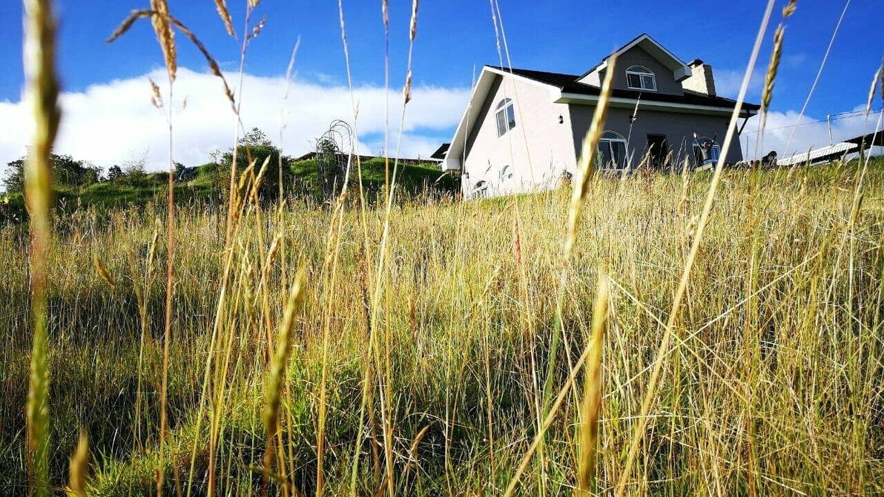 Photo of Outdoor in Sabana Redonda