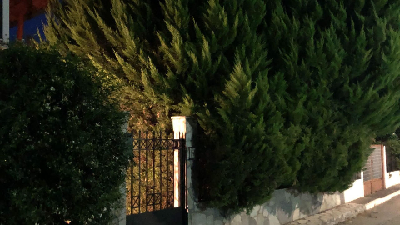 Photo of Outdoor in Skidra