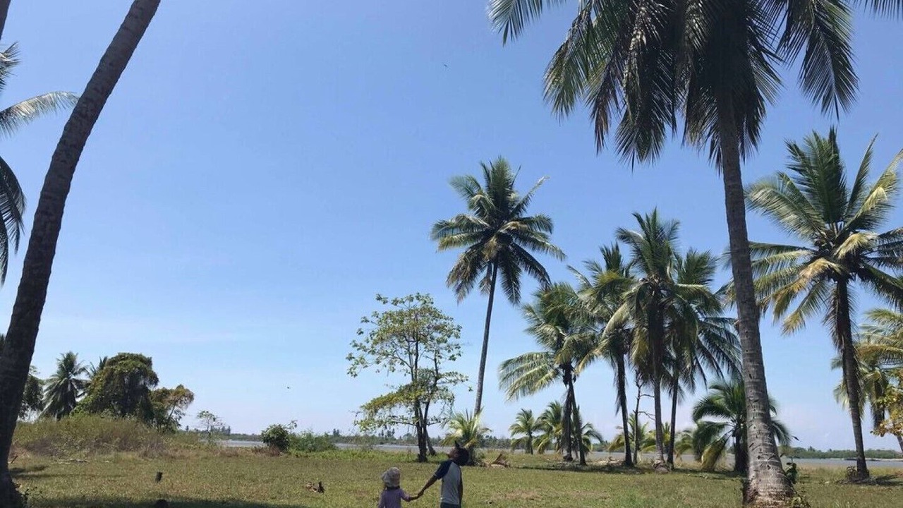 Photo of Others in Playa Tortuga