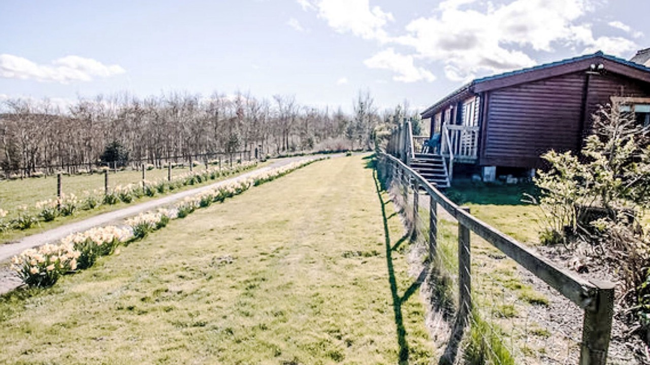 Photo of Outdoor in Aberchirder