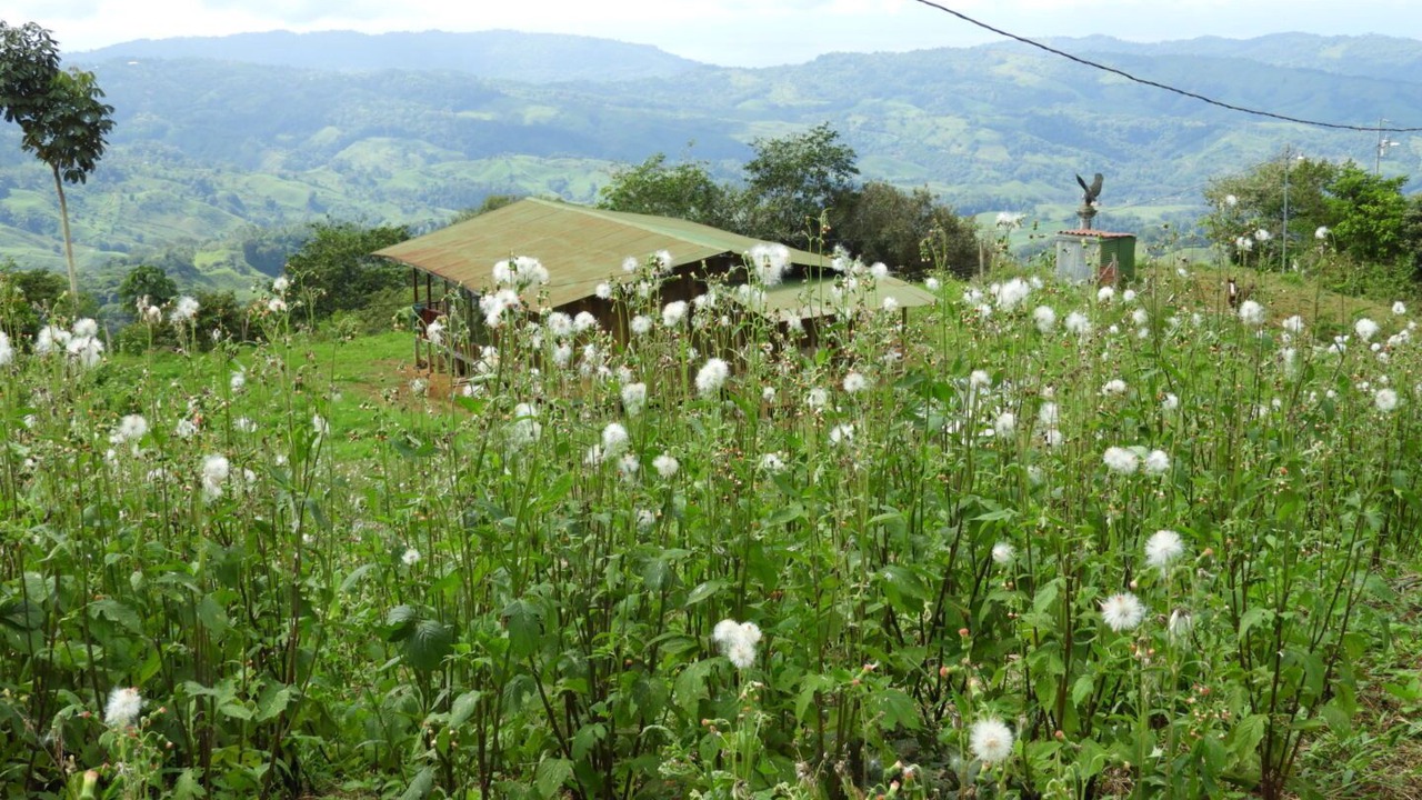 Photo of Outdoor in Cascada Azul