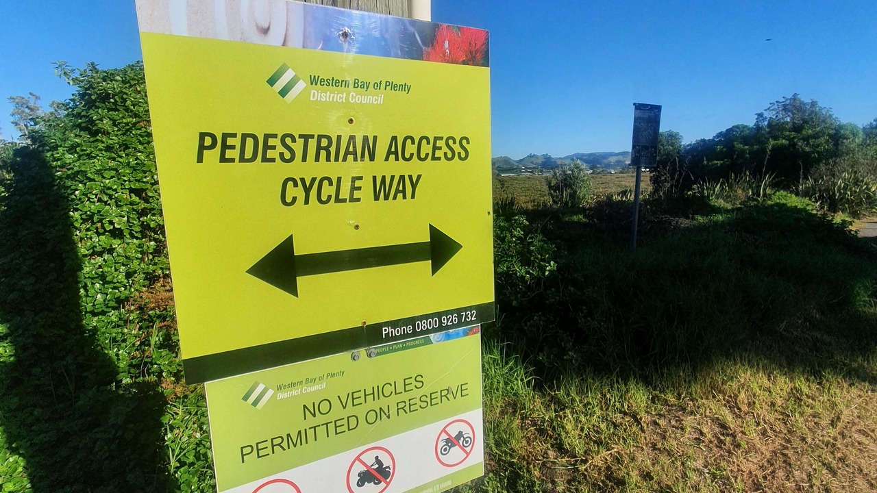 Photo of Others in Waihi Beach