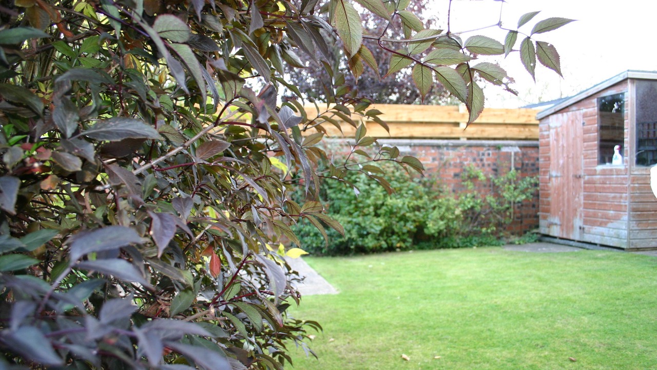 Photo of Outdoor in Prestwick