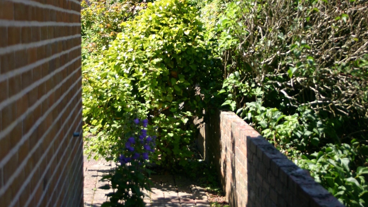 Photo of Outdoor in Prestwick