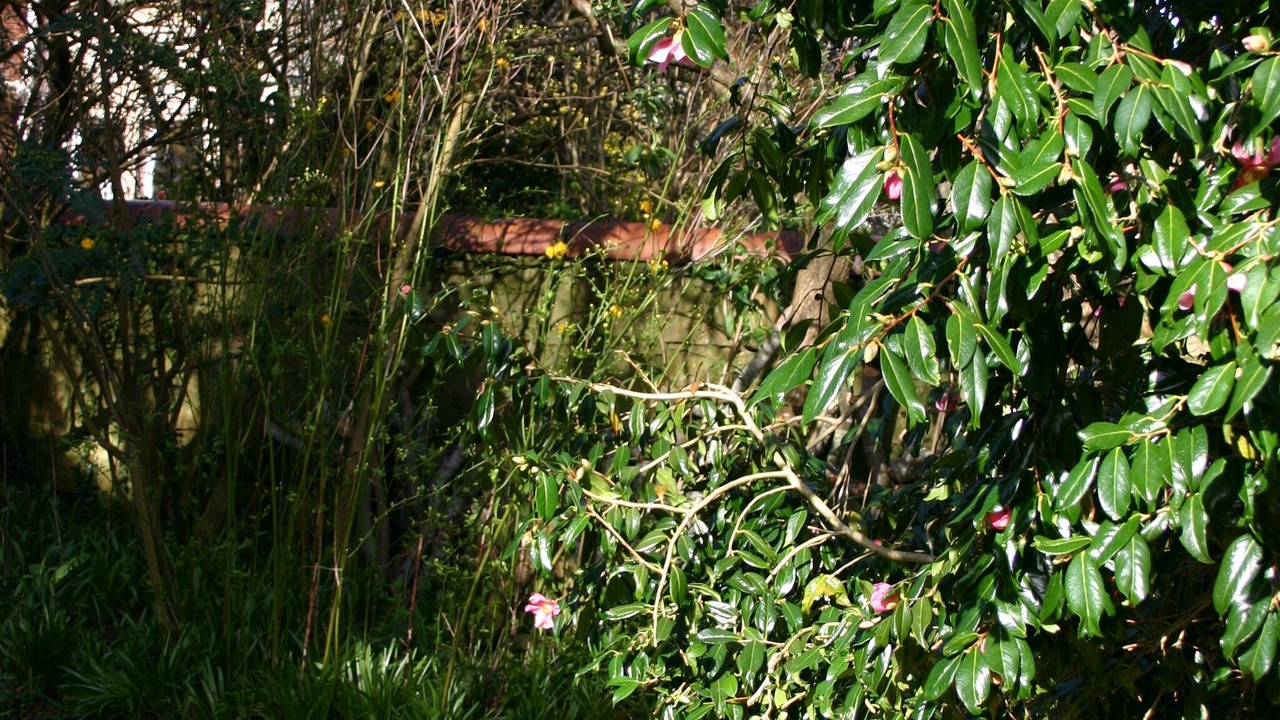 Photo of Outdoor in Prestwick