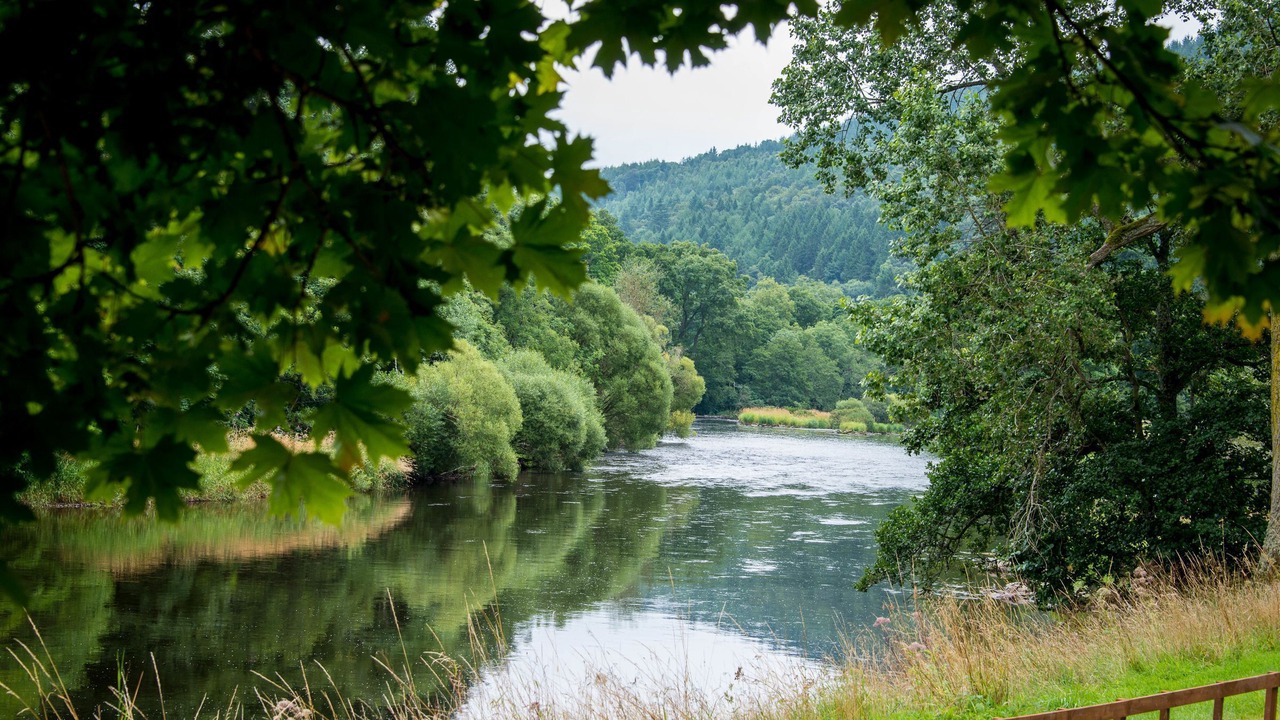 Photo of Others in Galashiels
