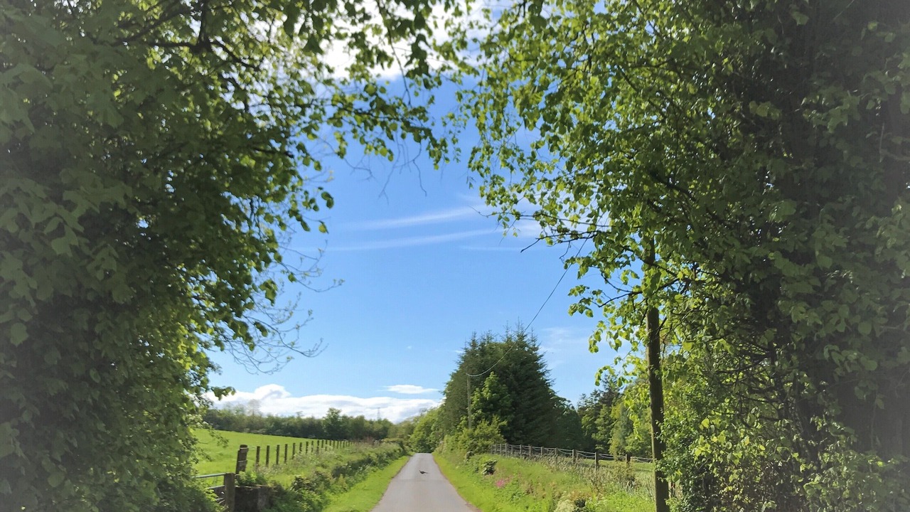 Photo of Outdoor in Mauchline