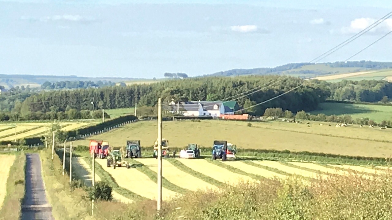 Photo of Others in Mauchline
