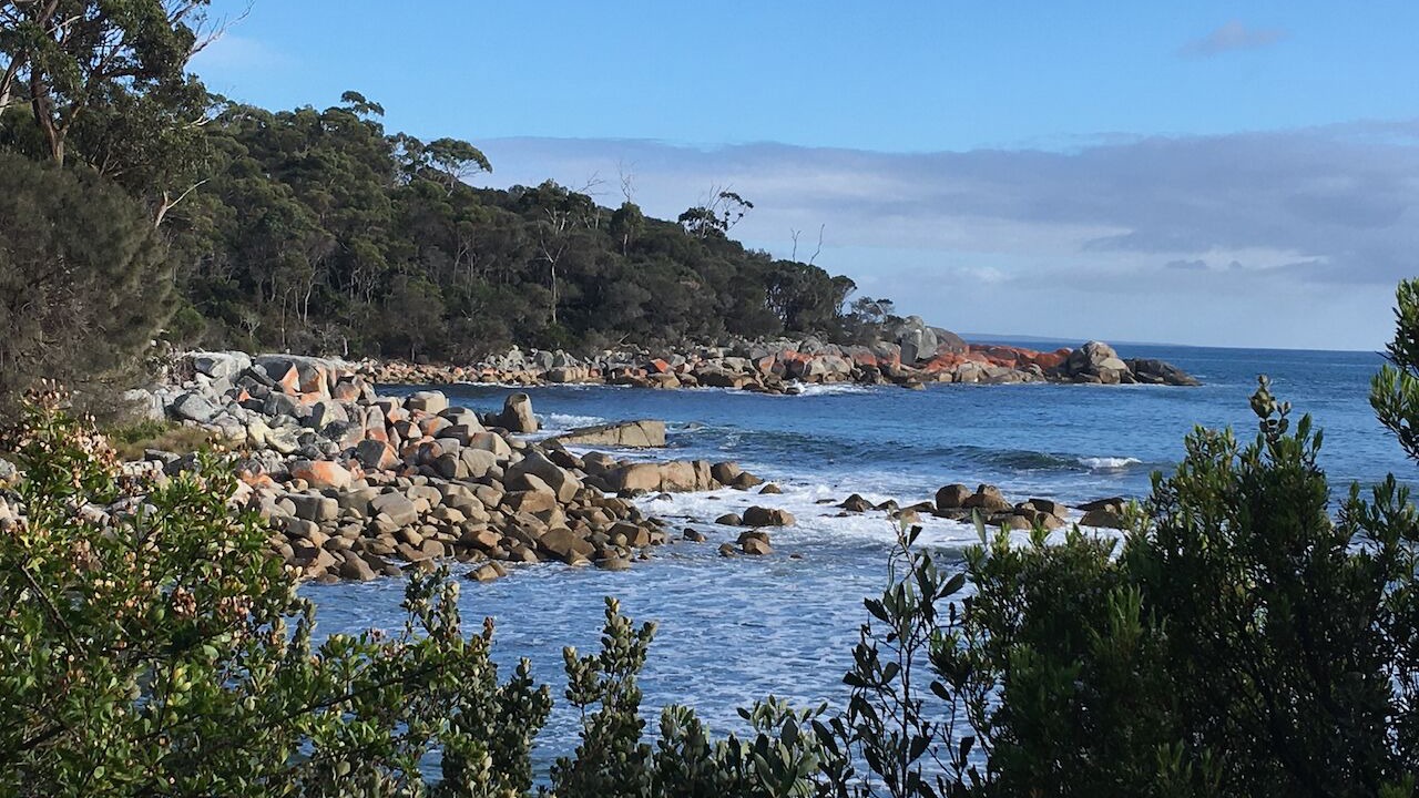 Photo of Others in Binalong Bay