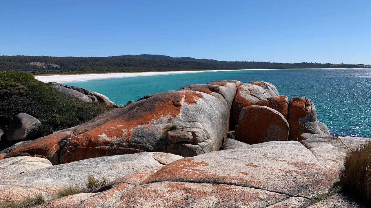 Photo of Others in Binalong Bay