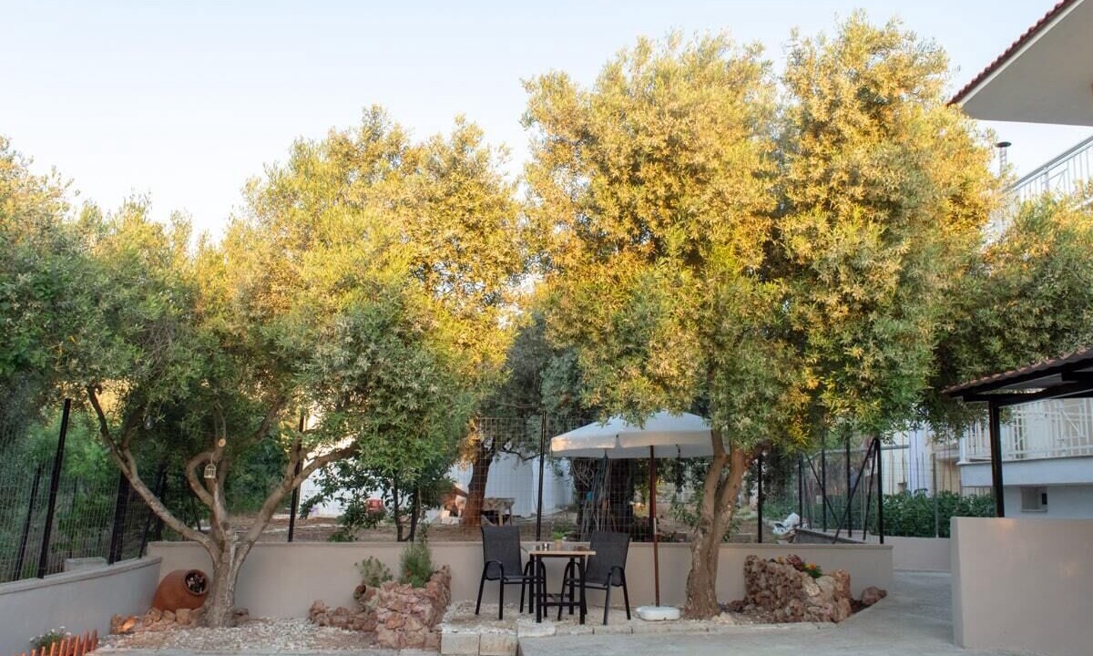 Photo of Outdoor in Megalos Prinos
