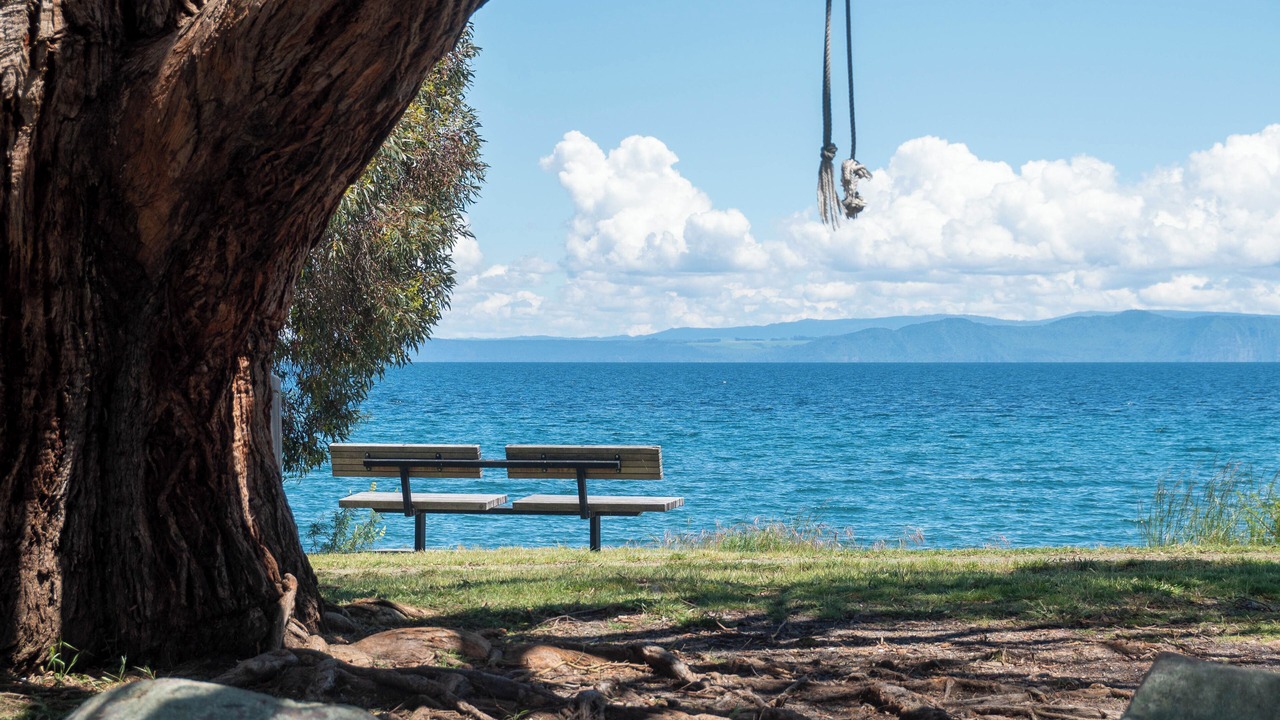 Photo of Outdoor in Waitahanui
