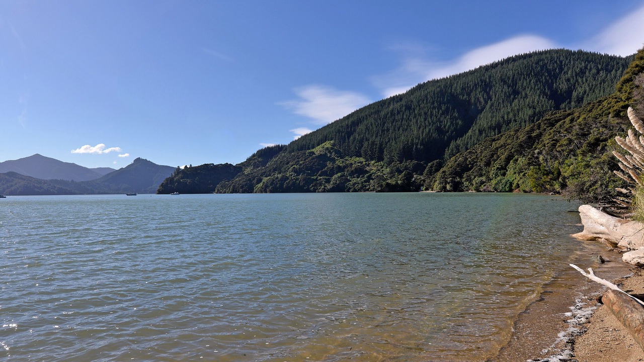 Photo of Others in Moetapu Bay
