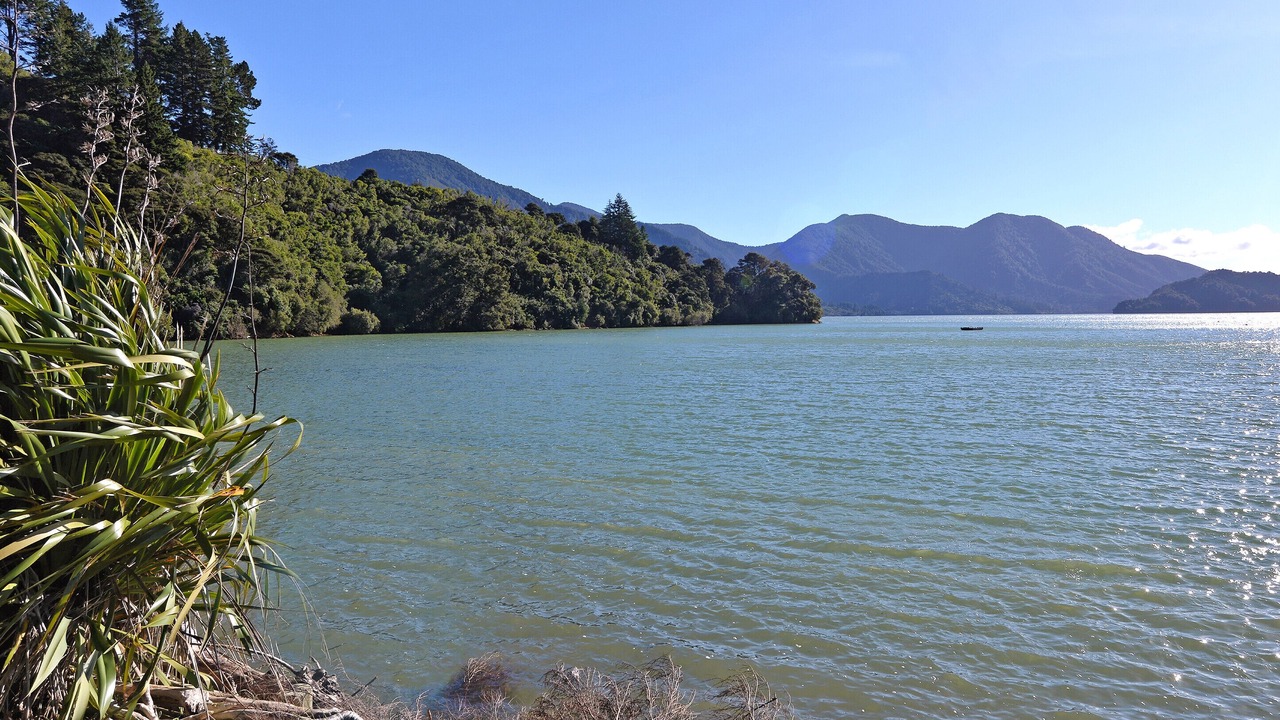 Photo of Others in Moetapu Bay